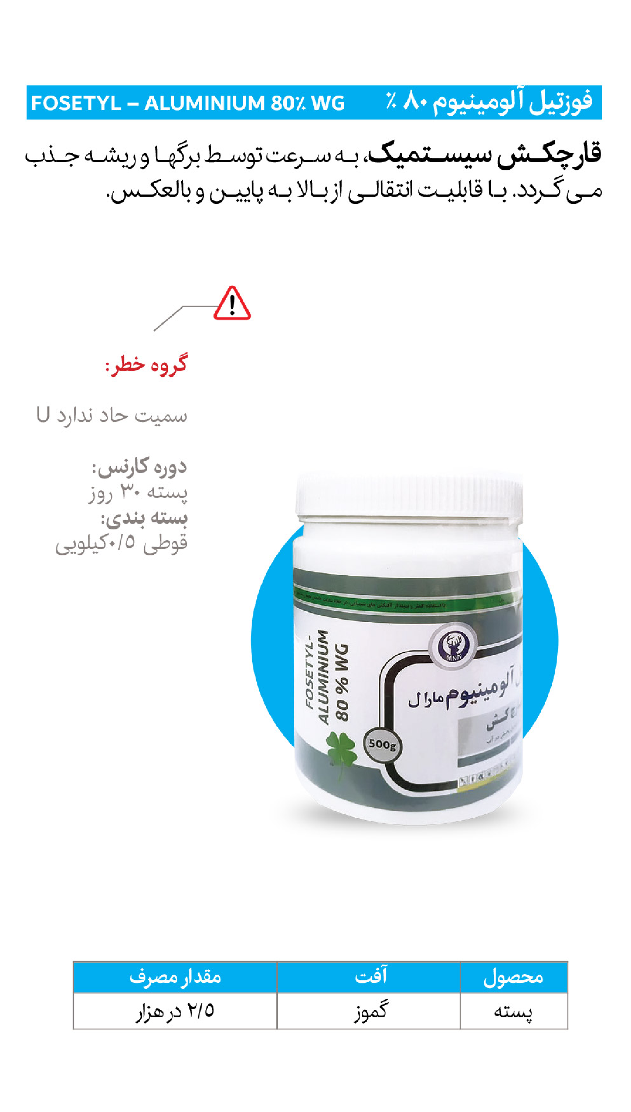 صفحه 8